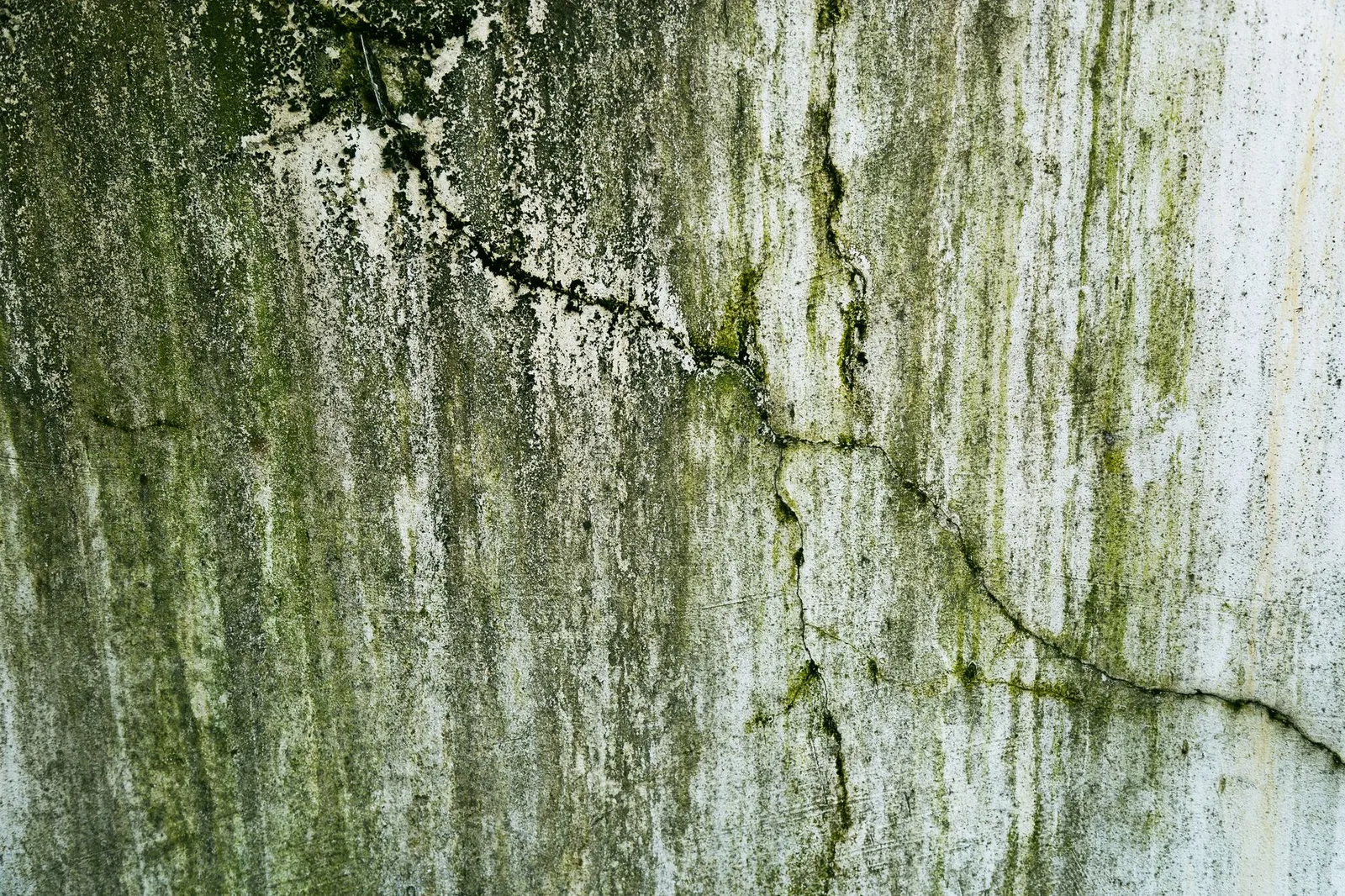 Close-up of a weathered wall with cracks and green algae, texture details.